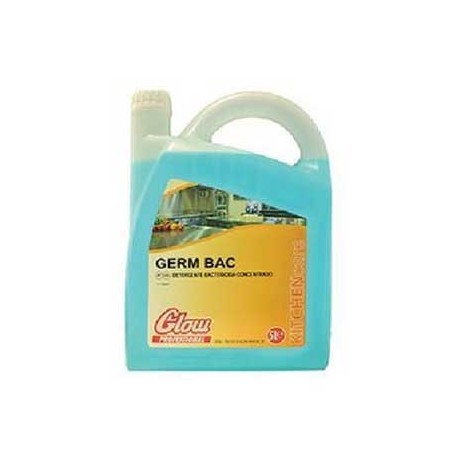 Detergente Desinfetante Bactericida/ Fungicida/ Virucida 750ml