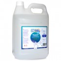 Gel Higienizante Desinfetante Anti-séptico Mãos 5L