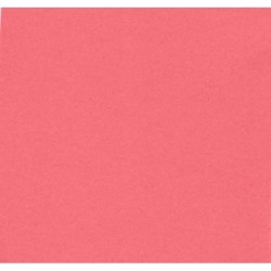 Cartolina Iris 50x65 240grs