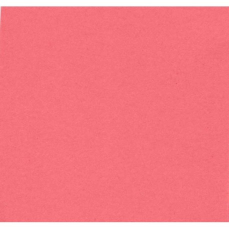 Cartolina Iris 50x65 240grs