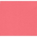 Cartolina Iris Canson 50x65 240grs Coral 10und