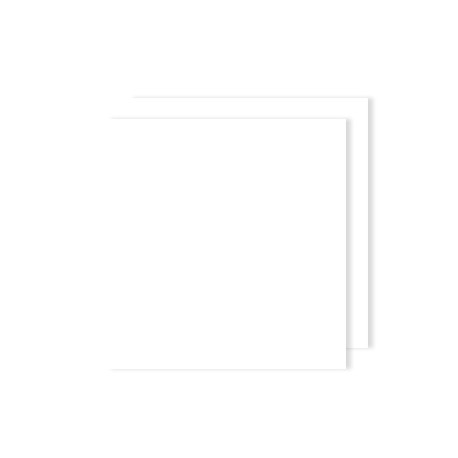 Cartolina Iris 50x65 240grs