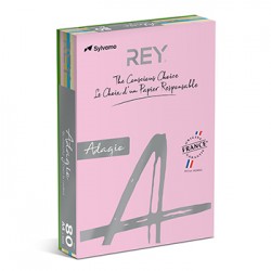 Papel Fotocopia A4 080gr 5 Cores Suaves 5x100 R.500Fls