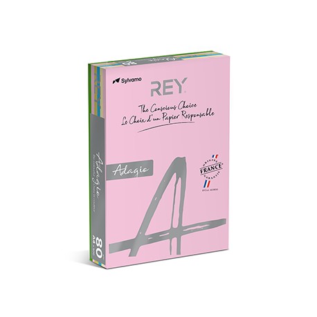 Papel Fotocopia A4 080gr 5 Cores Suaves 5x100 R.500Fls