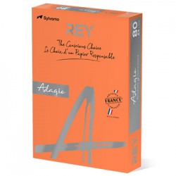 Papel Fotocopia A4 080gr 5 Cores Suaves 5x100 R.500Fls