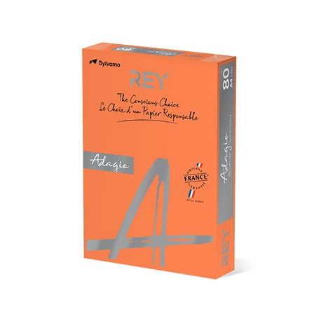 Papel Fotocopia A4 080gr 5 Cores Suaves 5x100 R.500Fls