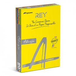 Papel Fotocopia A4 080gr 5 Cores Suaves 5x100 R.500Fls