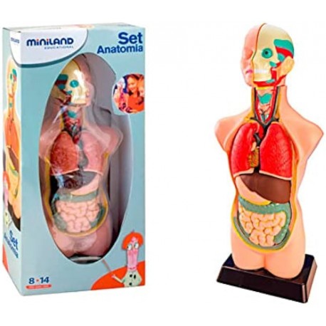 Set de Anatomia 11 pçs