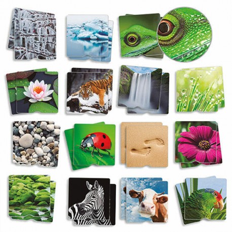 Maxi Memória Tátil Nosso Ambiente