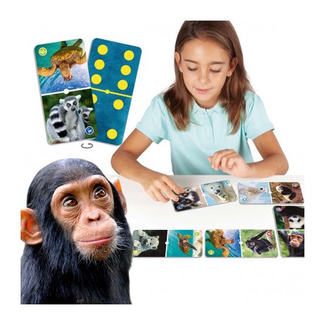 Maxi Memória As Culturas