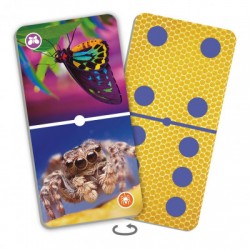 Natu-Dómino Insectos