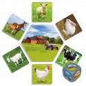 Onde Vivem os Animais?