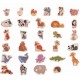 Animais Magnéticos 30pçs