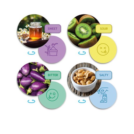 Jogo Sensorial Paladares e Sabores