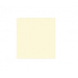 Cartolina Cla 50x65 240grs Amarelo Claro
